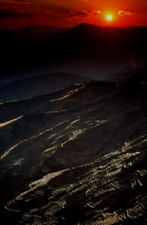 Rice Terraces At Sunset