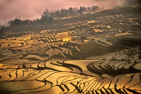 Rice Terraces in Yuan Yang
