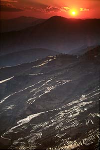 Terraces in Yunnan, China