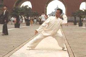 Photo of Master Liu Xue-Bo